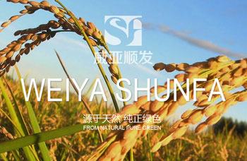 熱烈祝賀江蘇順發(fā)米業(yè)有限公司網(wǎng)站全新上線！?。? /></A>    
     <div   id=